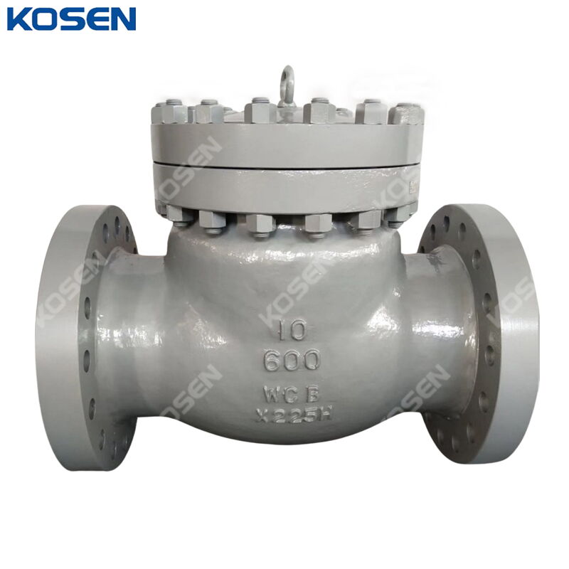 Cast Steel Swing Check Valves, API 6D, BS 1868, WCB, 10 Inch