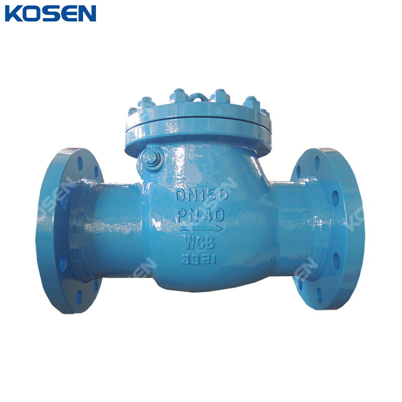 DIN 3356 Swing Check Valves, A216 WCB, DN150, PN40, 6 IN, RF