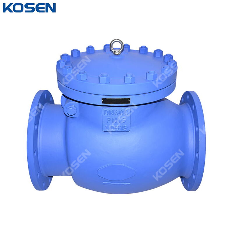 EN 1.0619 Swing Check Valve, DIN 3356, DN300, PN16, RF Ends
