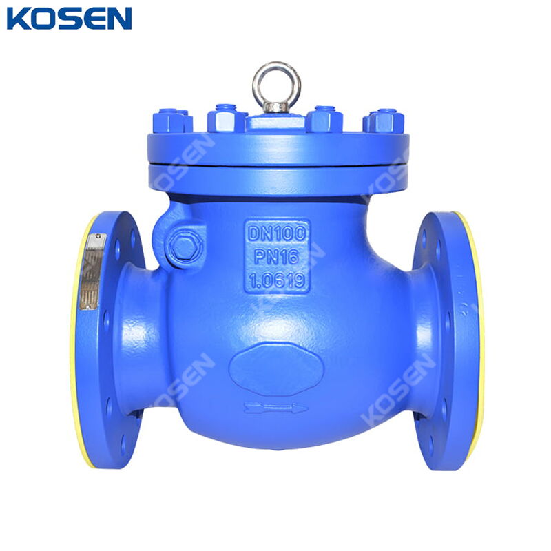EN 1.0619 Swing Check Valves, DIN 3356, DN100, PN16, 4 Inch