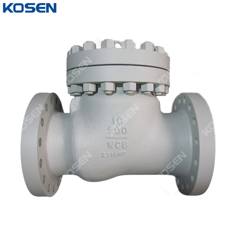Full Opening Swing Check Valve, API 6D, WCB, 10 IN, CL900 LB