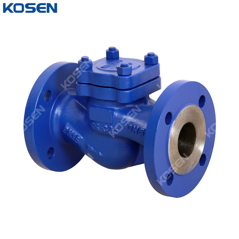 GS-C25 Lift Check Valve, DIN 3356, Carbon Steel, DN50, PN16