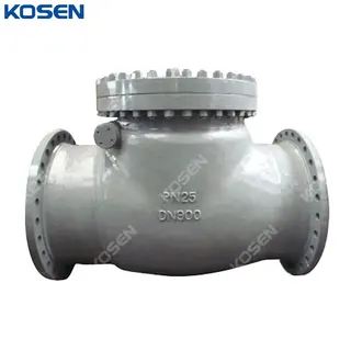 DIN 3356 Swing Check Valve, ASTM A216 WCB, DN900, PN25, RF