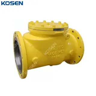 NACE MR0175 Swing Check Valve, API 6D, A216 WCB, 12 Inch, RF