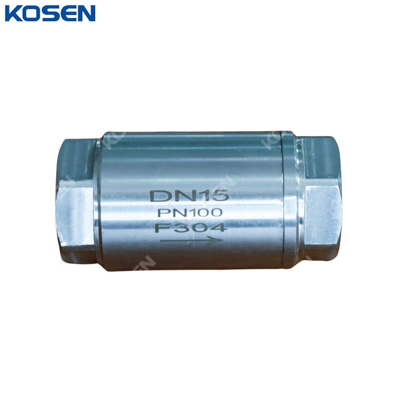 ASTM A182 F304 Vertical Check Valve, SS, DN15, PN100, NPT