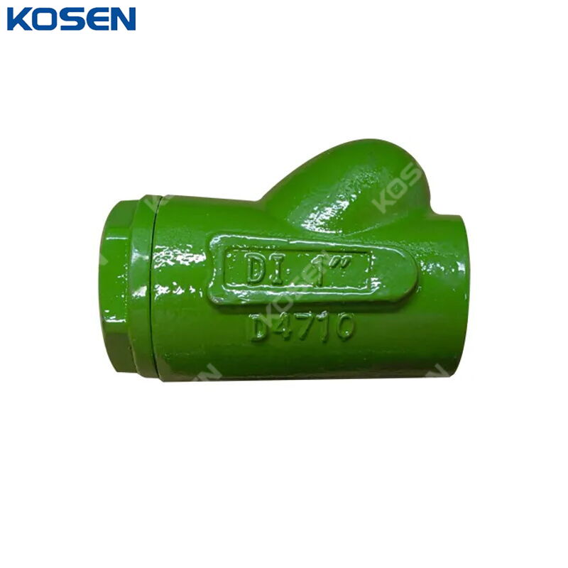 ASTM A395 Ball Check Valve, 1 Inch, 2000 PSI, Full Port, NPT