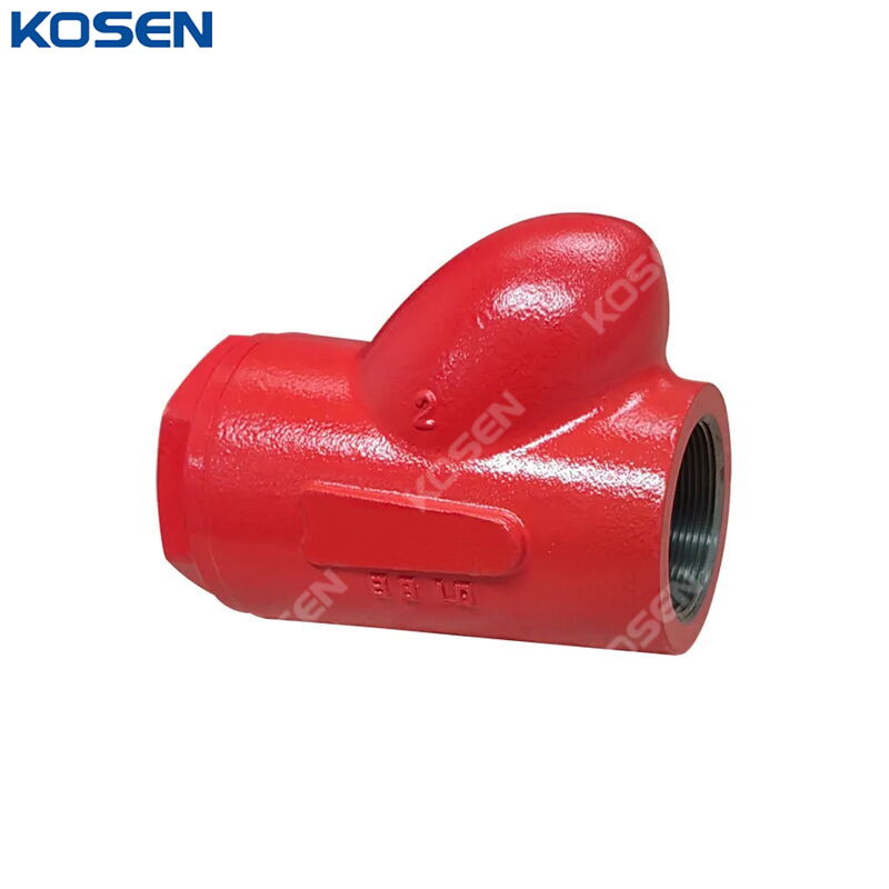 Ball Type Check Valve, ASTM A216 WCB, 2 Inch, 3000 PSI, NPT
