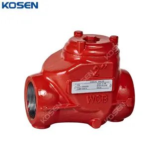 5000 PSI Oil Field Check Valve, ASTM A216 WCB, 2 IN, NPT, FP