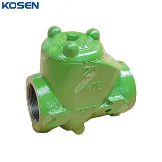NACE MR0175 Check Valve, Ductile Iron, 2 Inch, 2000 PSI, FP