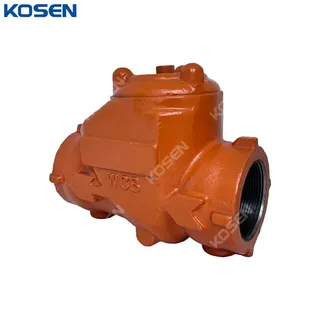 ASTM A216 WCB Check Valve, 2 Inch, 3000 PSI, Full Port, NPT