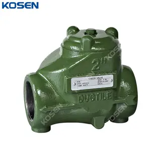 Ductile Iron Swing Check Valve, ASTM A395, 2 Inch, 2000 PSI