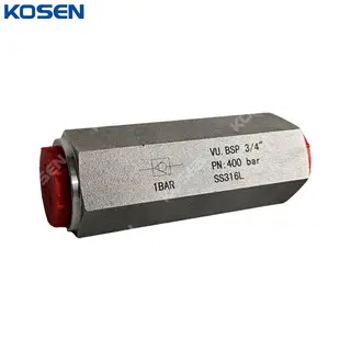 Hydraulic Check Valve, ASTM A182 F316L, 3/4 Inch, PN400, BSP
