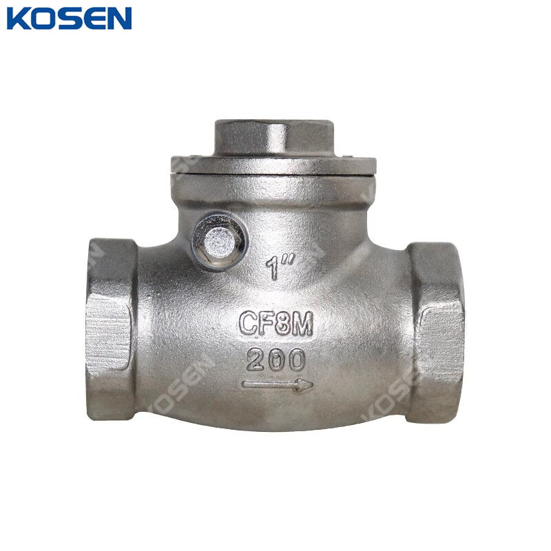 Stainless Steel Swing Check Valve, CF8M, 1 IN, 200 WOG, BSPT