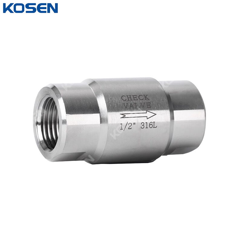 Stainless Steel Vertical Check Valve, F316L, 1/2 Inch, NPT