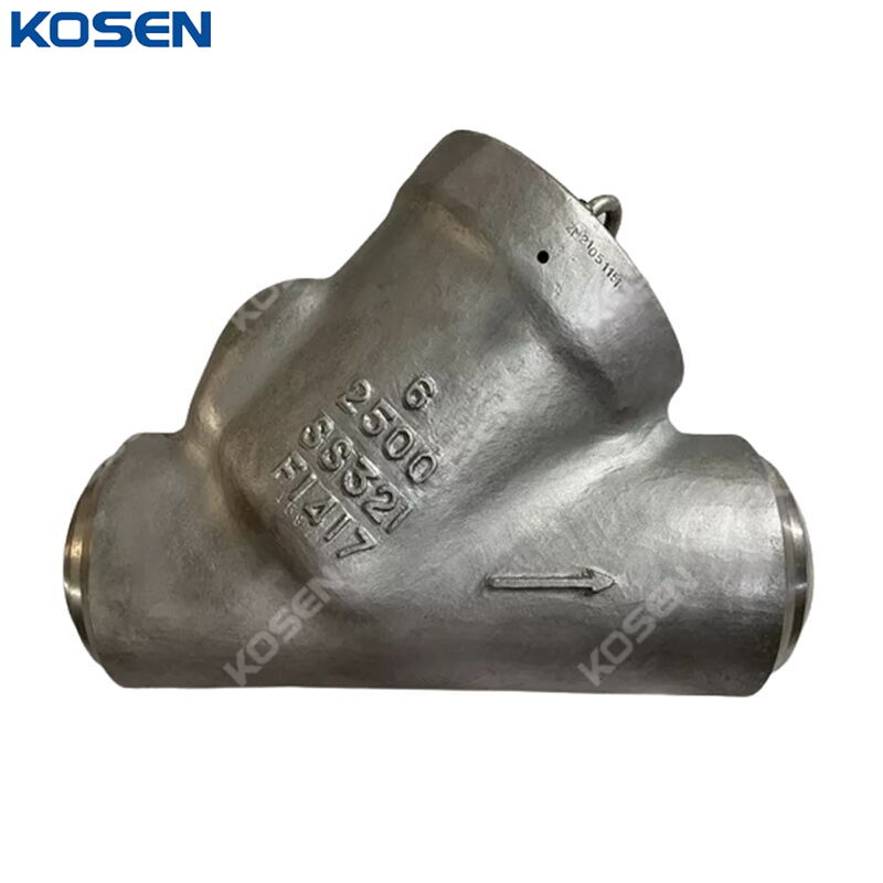 SS 321 Tilting Disc Check Valve, ASME B16.34, 6 IN, CL2500