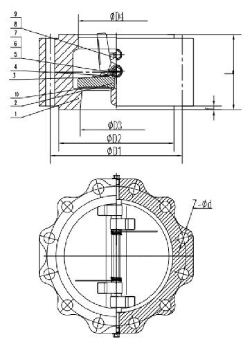Dual Plate Lug Check Valve Structural Diagram