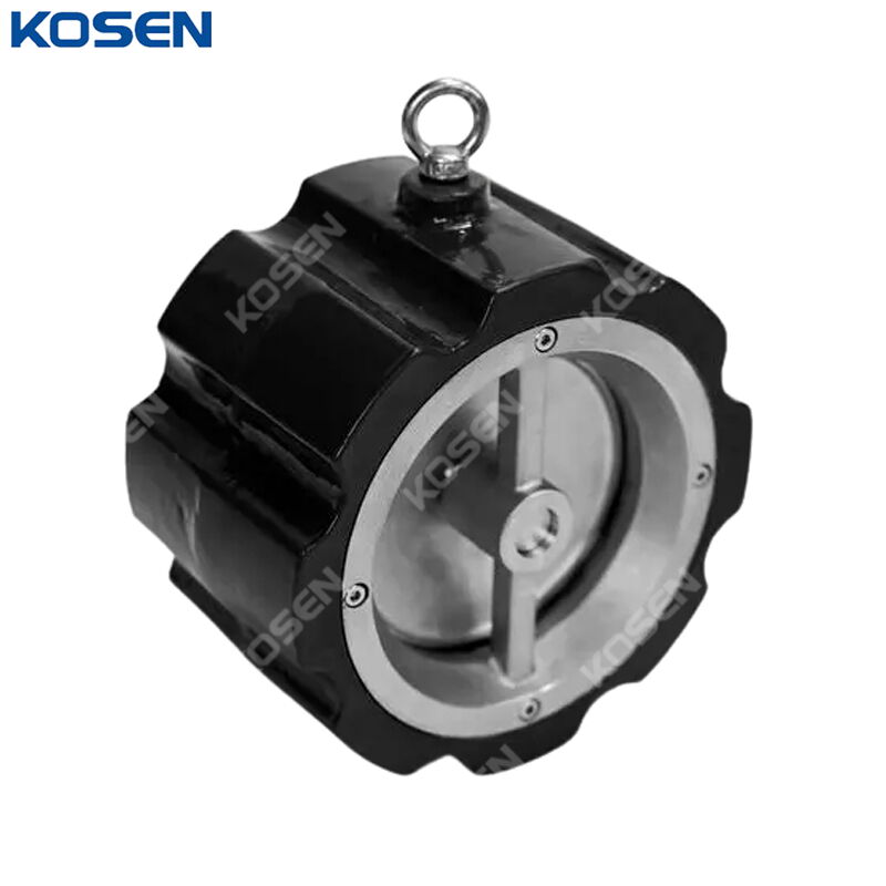 Single Disc Lift Check Valve, API 594, A216 WCB, DN40, PN16