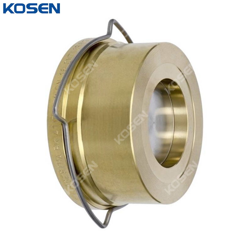 Single Disc Piston Check Valve, API 594, C95800, DN25, PN16