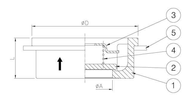 Single Disc Piston Check Valve Structural Diagram
