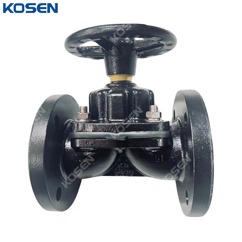 BS 5156 Diaphragm Valve, GGG40, 2-1/2 IN, 150 LB, EPDM Lined