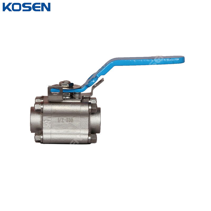 ASTM A182 F316L Ball Valve, ASME B16.34, 1/2 IN, CL800, SW