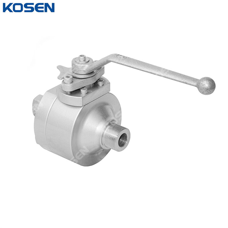 External Thread Ball Valve, ASME B16.34, F316L, DN20, PN260