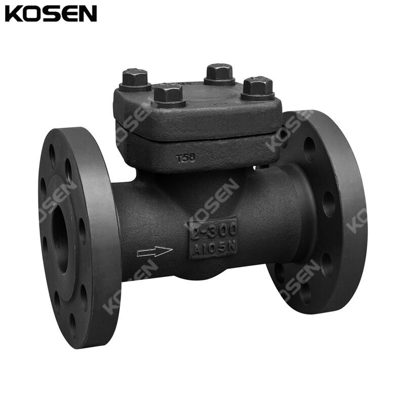 API 602 Lift Check Valve, ASTM A105N, 2 IN, CL300, DN50, RF