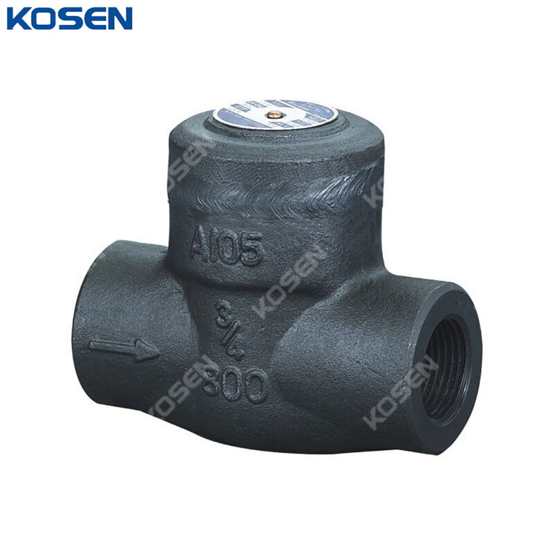 ASTM A105 Piston Check Valve, API 602, 3/4 Inch, CL800, FNPT