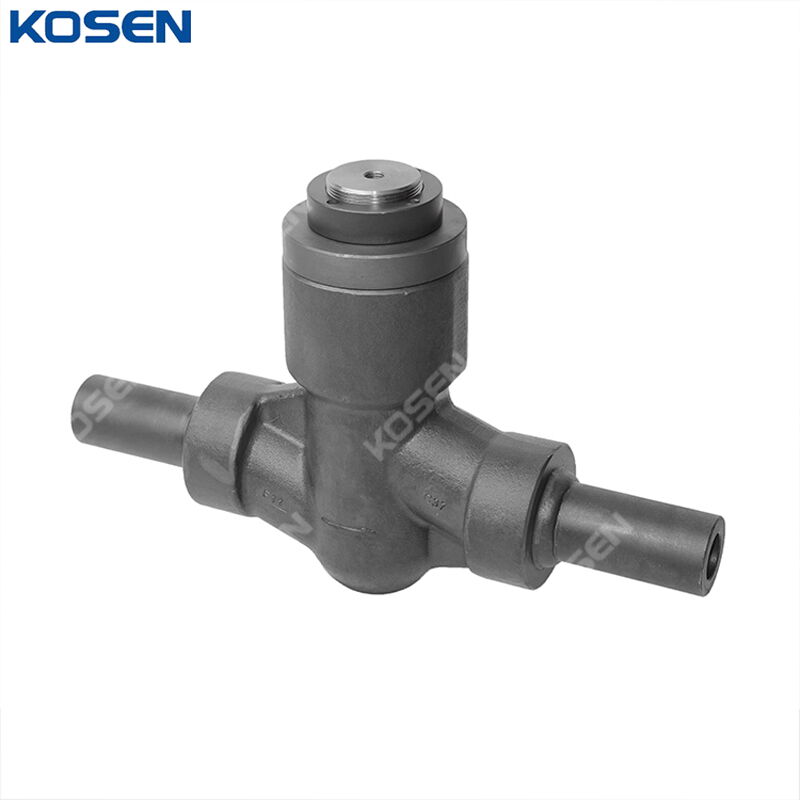 ASTM A182 F22 Lift Check Valve, API 602, CL1500, PSB, Custom