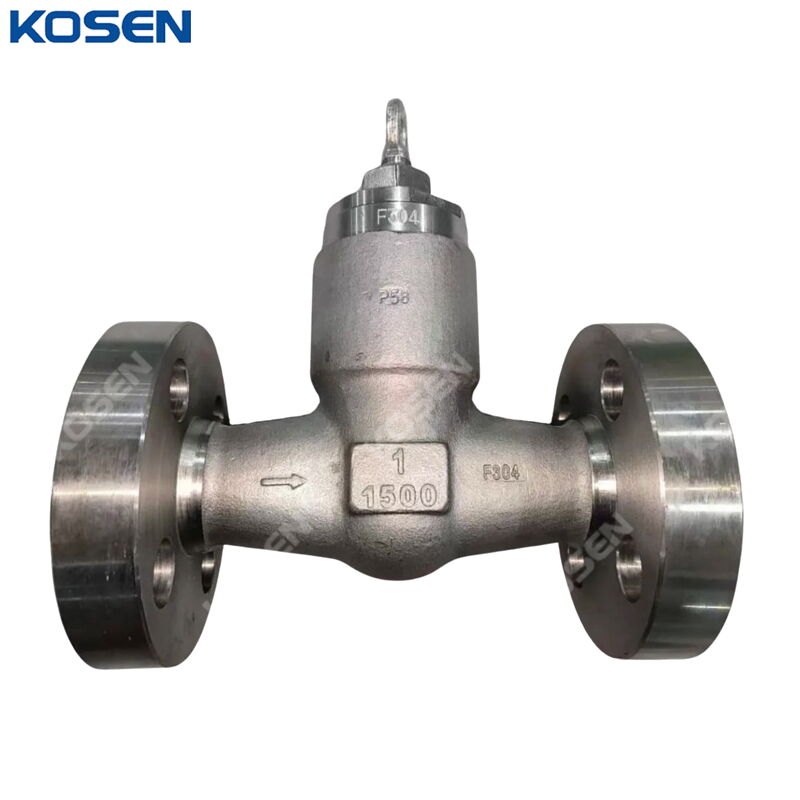 ASTM A182 F304 Check Valves, API 602, 1 Inch, CL1500 LB, RTJ