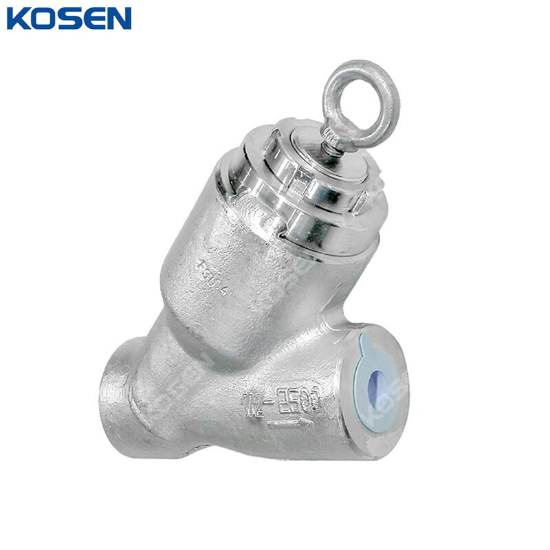 ASTM A182 F304 Y Check Valve, API 602, 1/2 Inch, CL2500, PSB