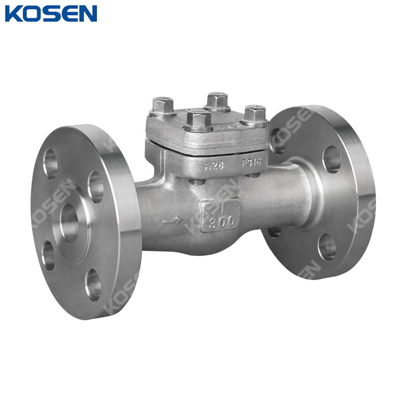 ASTM A182 F316 Piston Check Valves, API 602, 1 IN, CL300, RF
