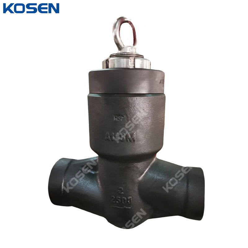 Pressure Seal Lift Check Valve, API 602, A105N, 2 IN, CL2500