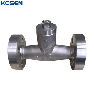 ASTM A182 F51 Check Valve, API 602, 1 Inch, 2500 LB, RTJ