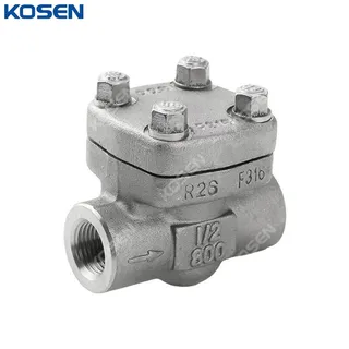 ASTM A182 F316 Piston Check Valve, API 602, 1/2 Inch, 800 LB