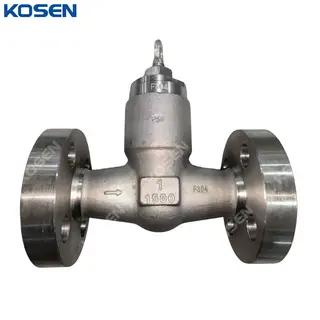 ASTM A182 F304 Check Valves, API 602, 1 Inch, CL1500 LB, RTJ