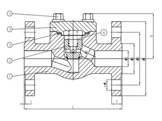 ASTM A182 F316 Piston Check Valve Structural Diagram