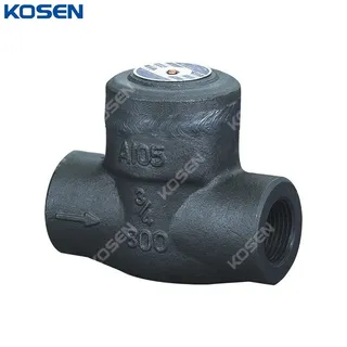 ASTM A105 Piston Check Valve, API 602, 3/4 Inch, CL800, FNPT