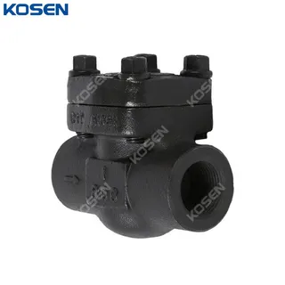 Bolted Bonnet Lift Check Valve, API 602, A105N, 1 IN, CL800