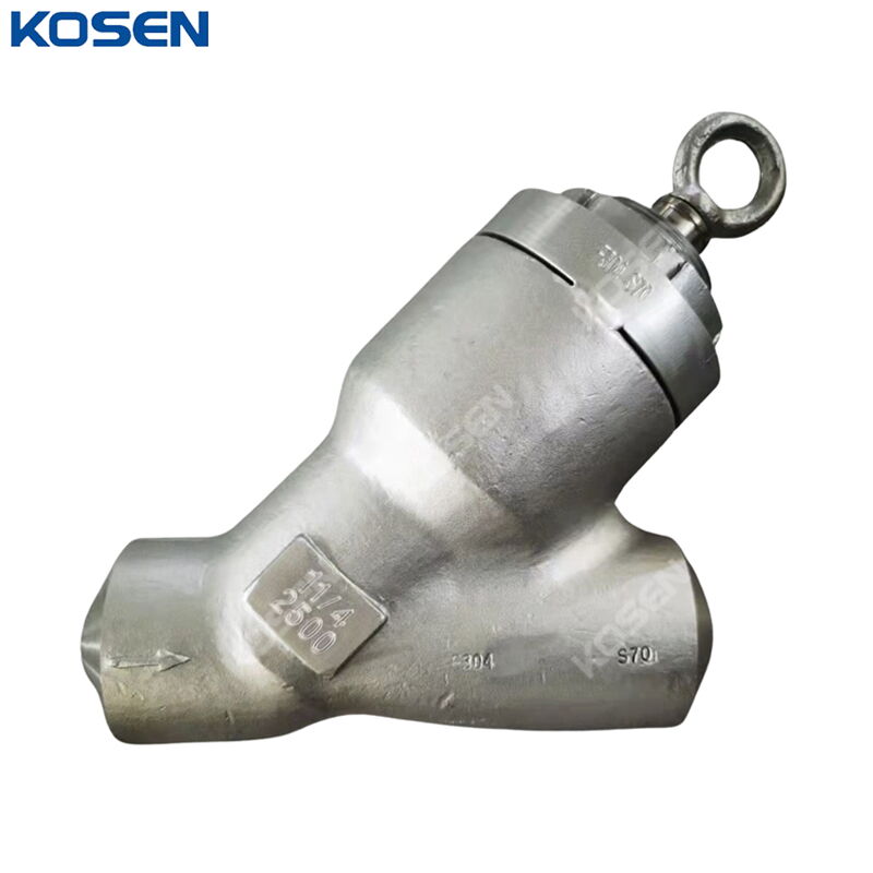 Y Type Pressure Sealed Check Valve, F304, 1-1/4 Inch, CL2500