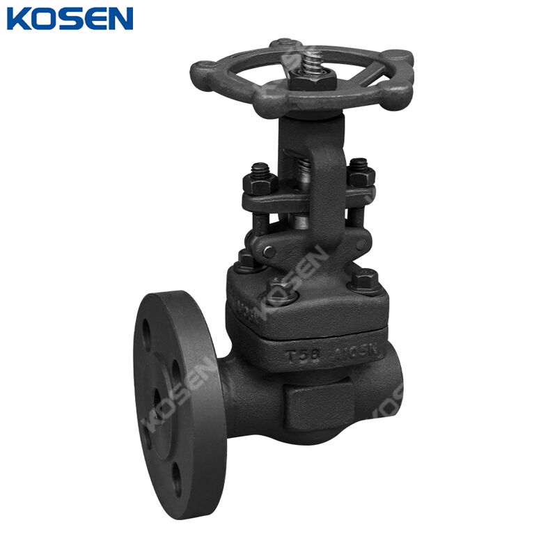 Air Drain Valve, API 602, ASTM A105N, Custom, RF * FNPT Ends
