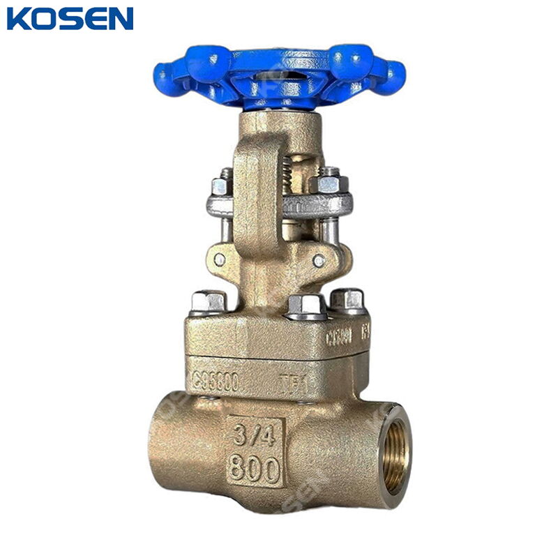 Aluminum Bronze Gate Valve, API 602, C95800, 3/4 Inch, CL800