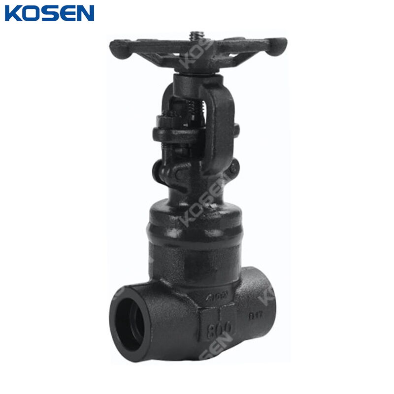 API 602 Gate Valve, ASTM A105N, 1 IN, CL800, Welded Bonnet