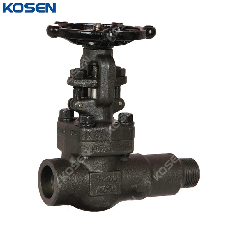 API 602 Gate Valves, ASTM A105N, 1 IN, CL800, SW * MNPT Ends - China ...