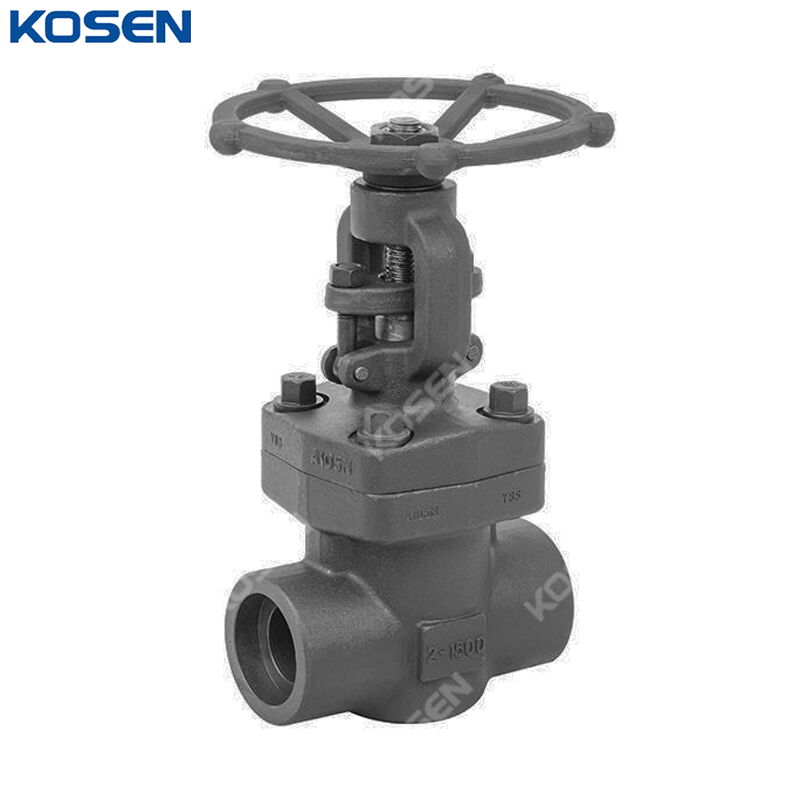 ASME B16.34 Gate Valve, API 602, A105N, 2 Inch, 1500 LB, SW