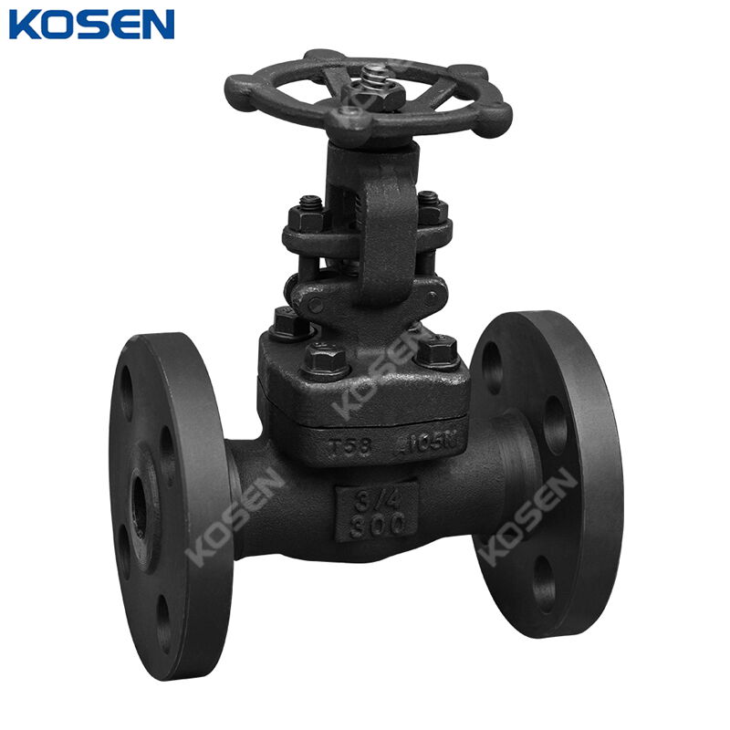 ASTM A105N Gate Valve, API 602, 3/4 Inch, CL300 LB, BB, RF