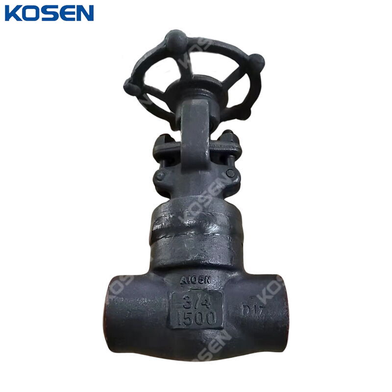 ASTM A105N Gate Valve, ASME B16.34, API 602, 3/4 IN, 1500 LB