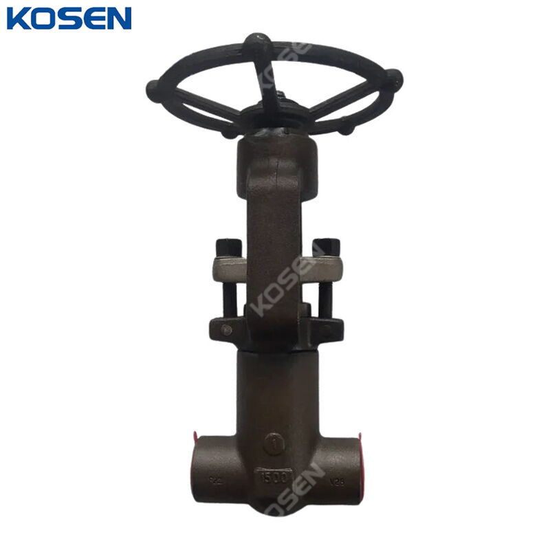 ASTM A182 F22 Gate Valve, API 602, 1 Inch, 1500 LB, PSB, SW