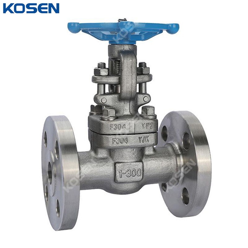 ASTM A182 F304 Gate Valve, API 602, 1 IN, CL300, Solid Wedge