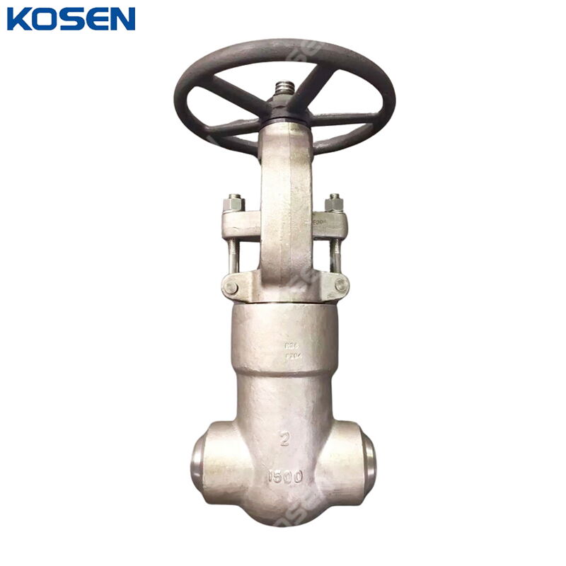 ASTM A182 F304 Gate Valves, API 602, 2 Inch, CL1500, PSB, BW
